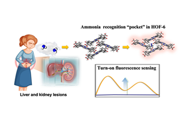 Hydrogen-bonded organic framework with ammonia recognition “pocket” for exhaled ammonia fluorescence sensing 2025.100729